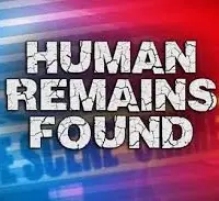 remains-found