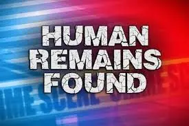 remains-found