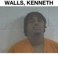 walls.webp