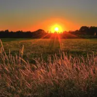 sunrise-jonathan-petersson-pexels-scaled