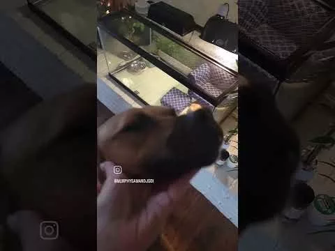 on0fbwtj7y4475774