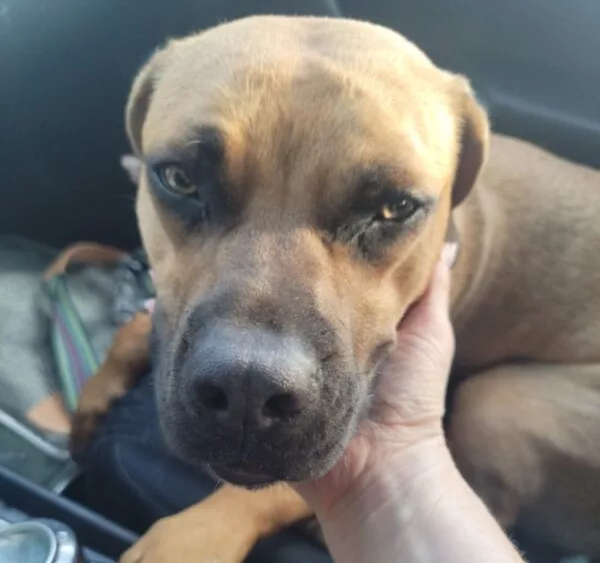 email_and_blog-blog-image-750x750-1-600x600332857-1