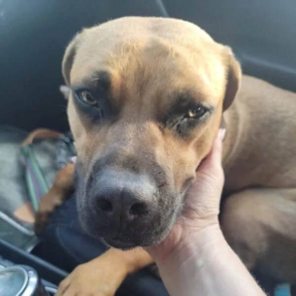 email_and_blog-blog-image-750x750-1-600x600332857-1