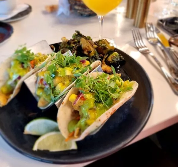 youtube-channel-icon-800x800-2-600x600763718-1