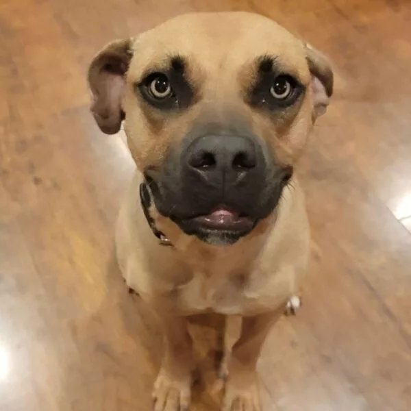 youtube-channel-icon-800x800-3-600x600421860-1