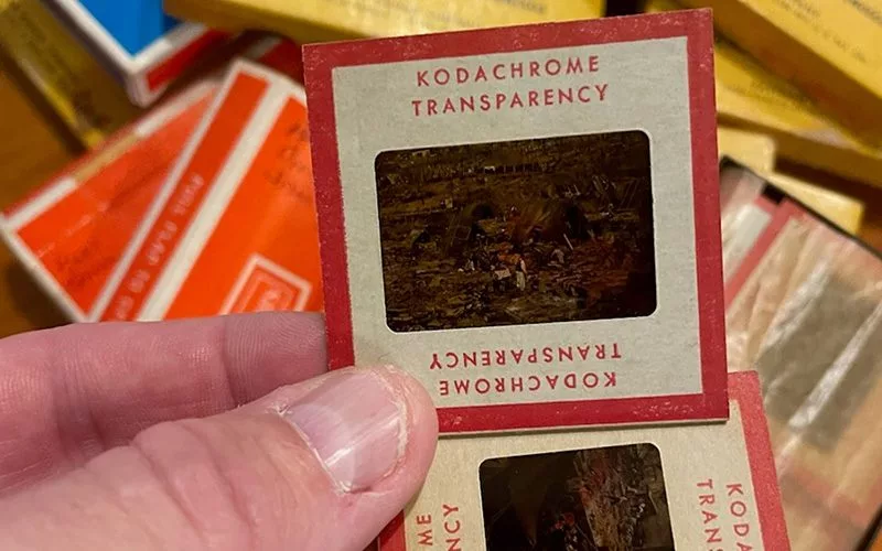 img_3445_2_resized588442