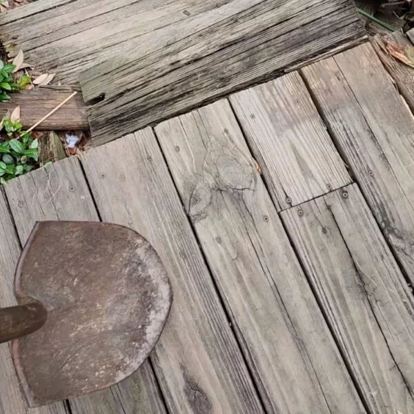 email_and_blog-blog-image-750x750-16-600x600211850-1