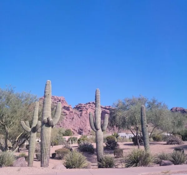 email_and_blog-blog-image-750x750-5-600x600928743-1