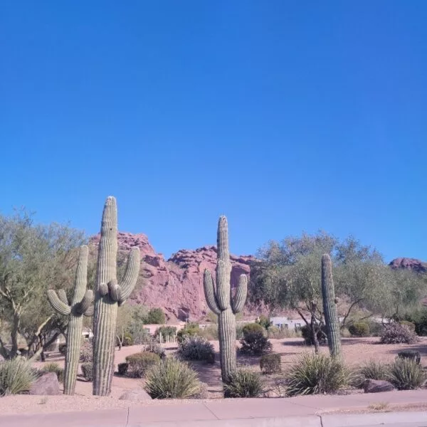 email_and_blog-blog-image-750x750-5-600x600928743-1