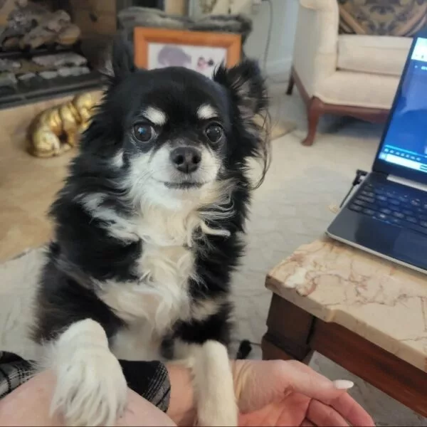 email_and_blog-blog-image-750x750-4-600x60024572-1