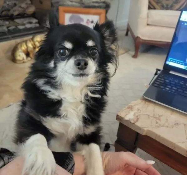 email_and_blog-blog-image-750x750-4-600x600500320-1