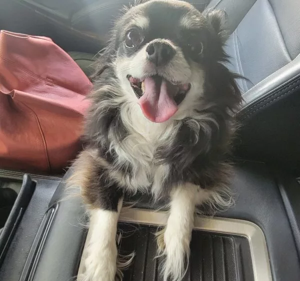 email_and_blog-blog-image-750x750-2-600x600460500-1