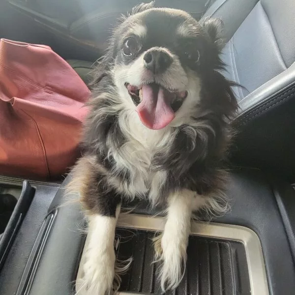 email_and_blog-blog-image-750x750-2-600x600460500-1