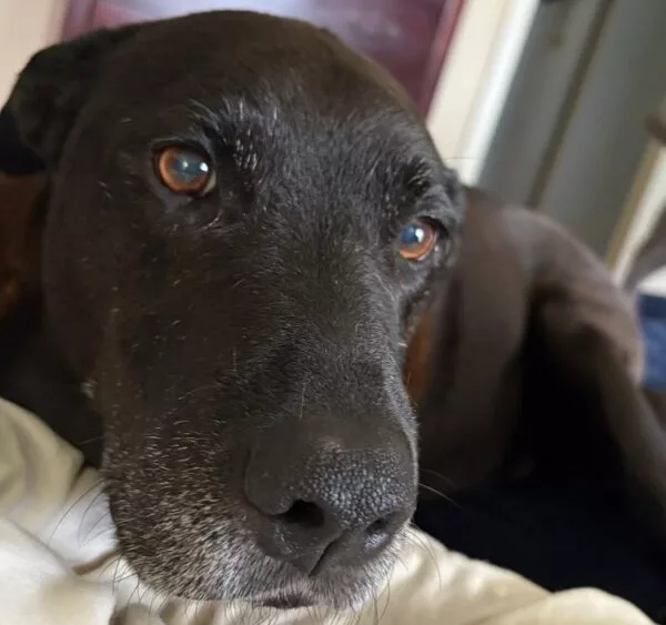 email_and_blog-blog-image-750x750-6-600x60087630-1