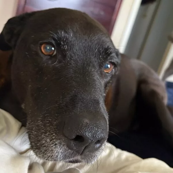 email_and_blog-blog-image-750x750-6-600x60087630-1