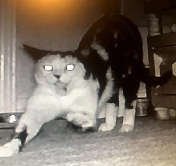 email_and_blog-blog-image-750x750-10-600x600418822-1