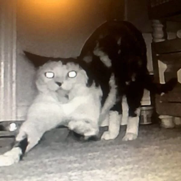 email_and_blog-blog-image-750x750-10-600x600418822-1