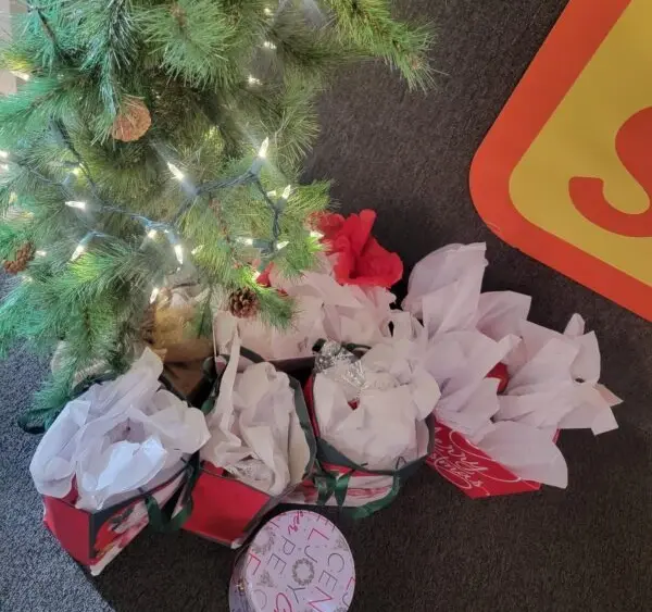 2e9d328e4fd24cc21fee0a72a6ee41e110bc7ec10fc1c04d4803c323509a2ac73403c2330068a5a441b31f7cda033a76e8cccce885c3b9f377428eef08c9f93c-600x600617608-1