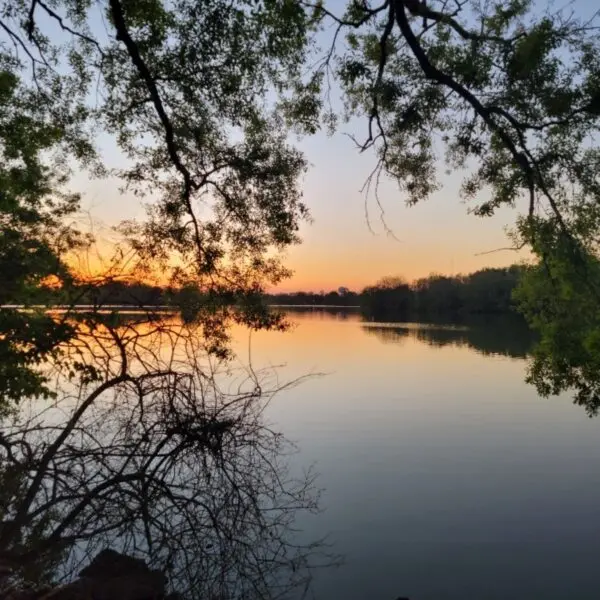 dd5e32e7f2d79c74932b466838676feb6b8a8d887efe1149406c4e80f2c5d602625586a84bf1d7a5c10c5ce477f90e12c22478c6cd47650a512f9219b234f6e1-600x600804636-1