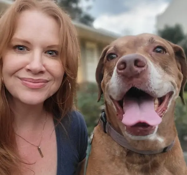 4851ba96f0d2c590f4c43413be14f862f20fda08e07195094c06c15283de7dcb7d57ca3c011849e835397ed912da0132b308e4fee4d0b1e4c62575f3afbde7d1-600x60017786-1