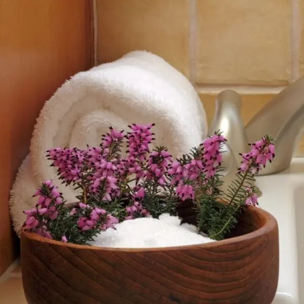 email_and_blog-blog-image-750x750-4-600x600446218-1