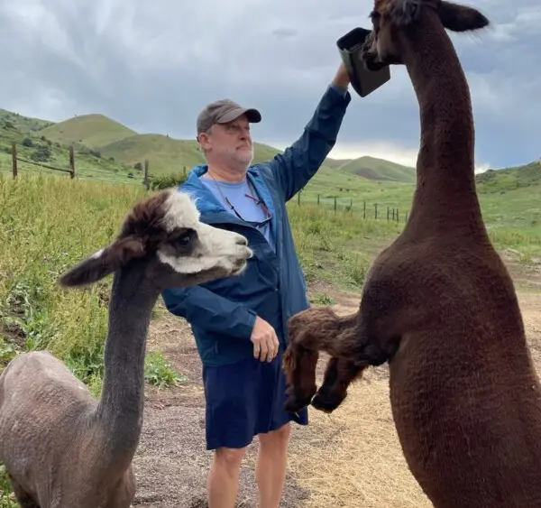 image-8-600x600171516-1