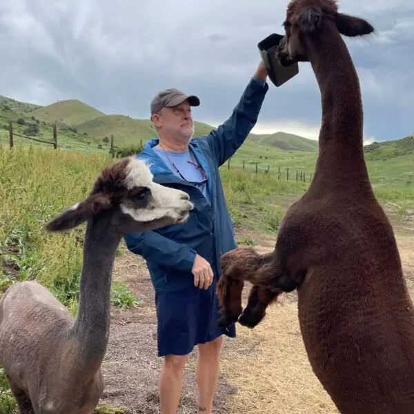 image-8-600x600171516-1