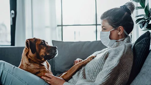 getty_petquarantine_052920