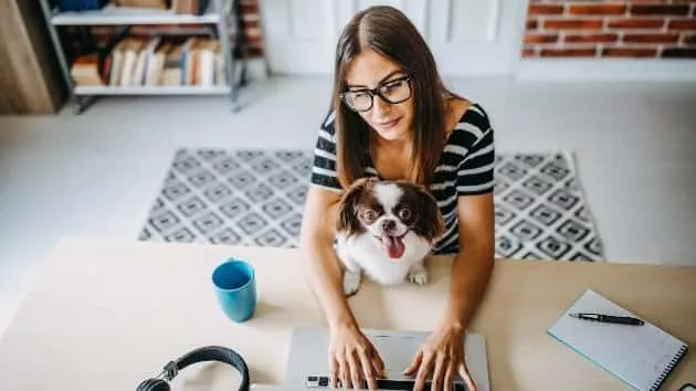 istock_dog_home_06052020