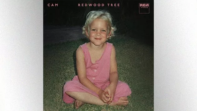 m_camredwoodtreeboxed630_05272020-2
