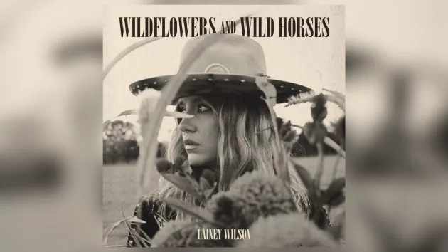 m_laineywilsonwildflowersandwildhorsesbbrmusicgroup389482