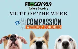 muttoftheweek-copy