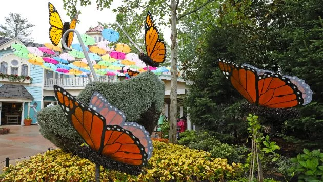 m_dollywoodflowerfoodfestival202077
