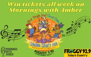 froggy-fair-tickets-2025