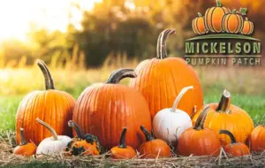 mickelson630-2
