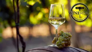 wineroadflipper-copy