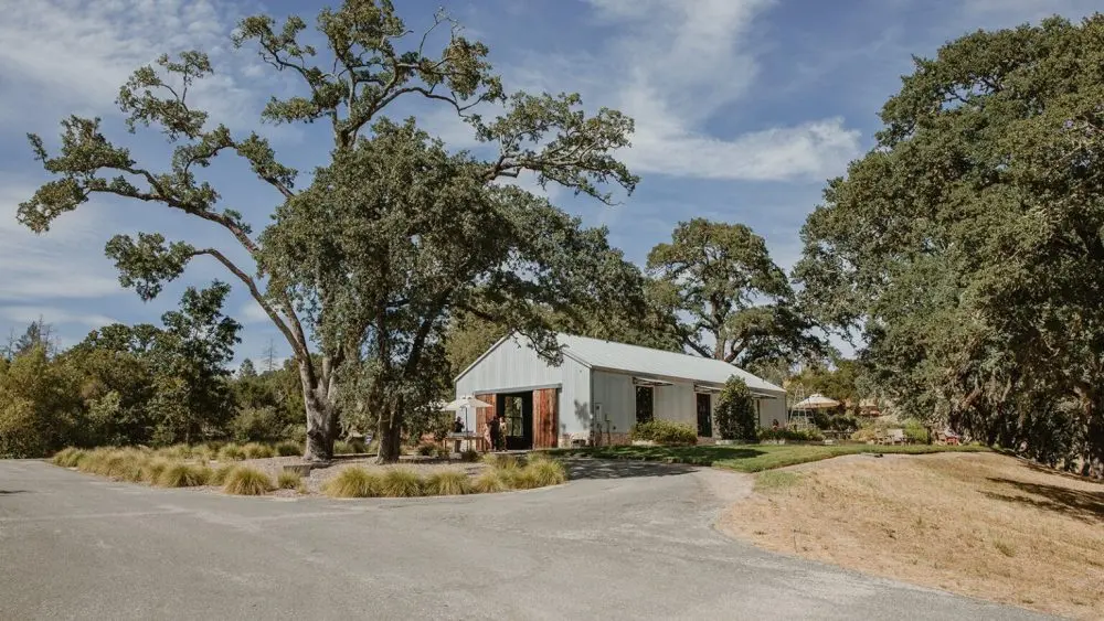 medlock_dinner_reception-2_websize-3-1-1000x563376429-1