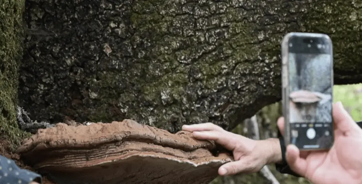 screen-shot-2026-04-04-at-5-53-25-pm-2-png