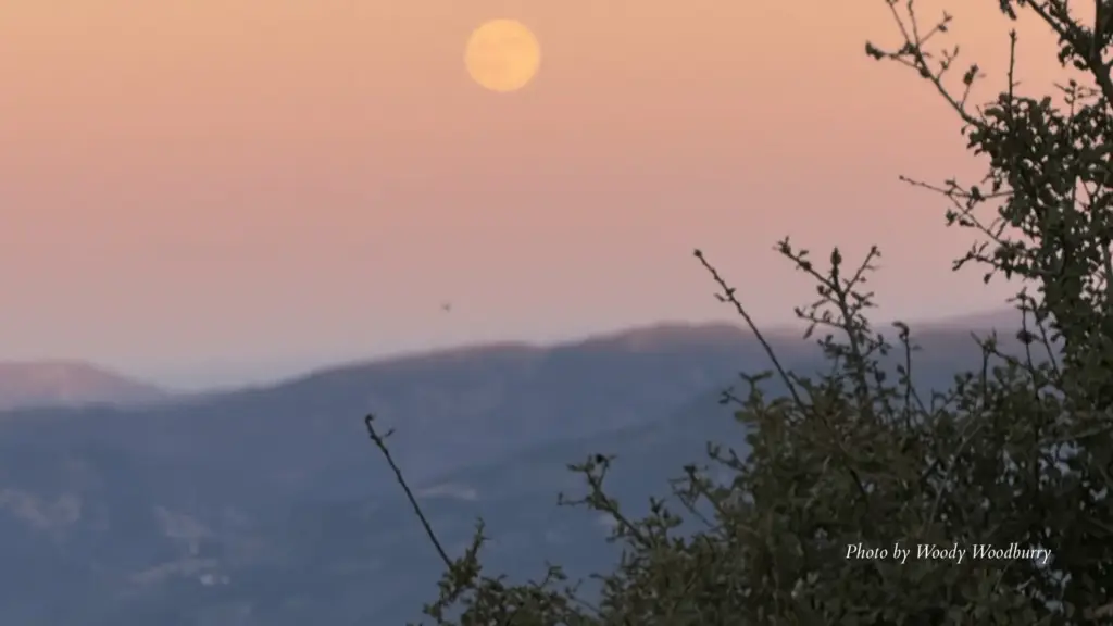 2025-10-06-full-moon-hike-by-woody-woodburry-1-1-png