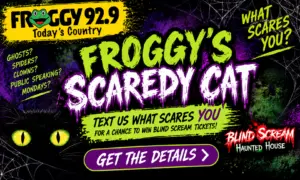froggy-flipper-blind-scream
