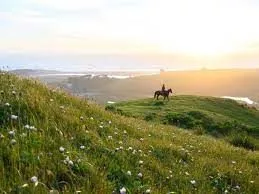 ranch