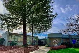 Belleview