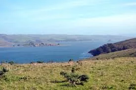 tomales