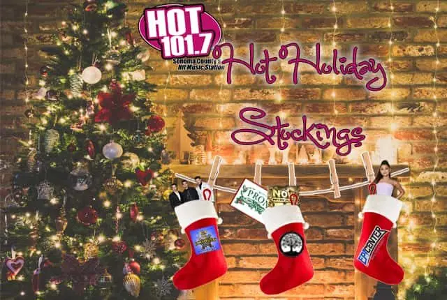 hotholidaystocking2019