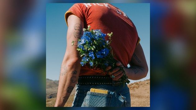 m_joejonasdeluxe_052725718940