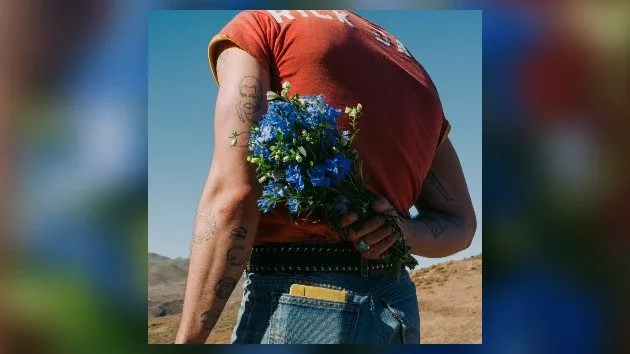 m_joejonasdeluxe_052725718940