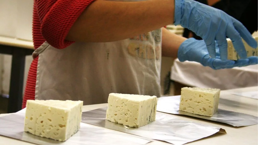 thumbnail_totaleconreport-cheeseprocessing2-1000x563123704-1