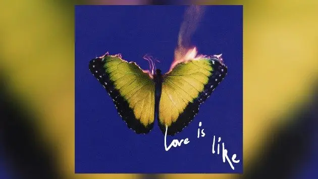 m_maroon5loveislike_062325957685
