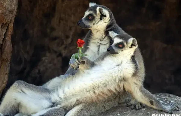 7b5ba48c-4ea9-4f61-b887-27aa59998f46-jpg-3