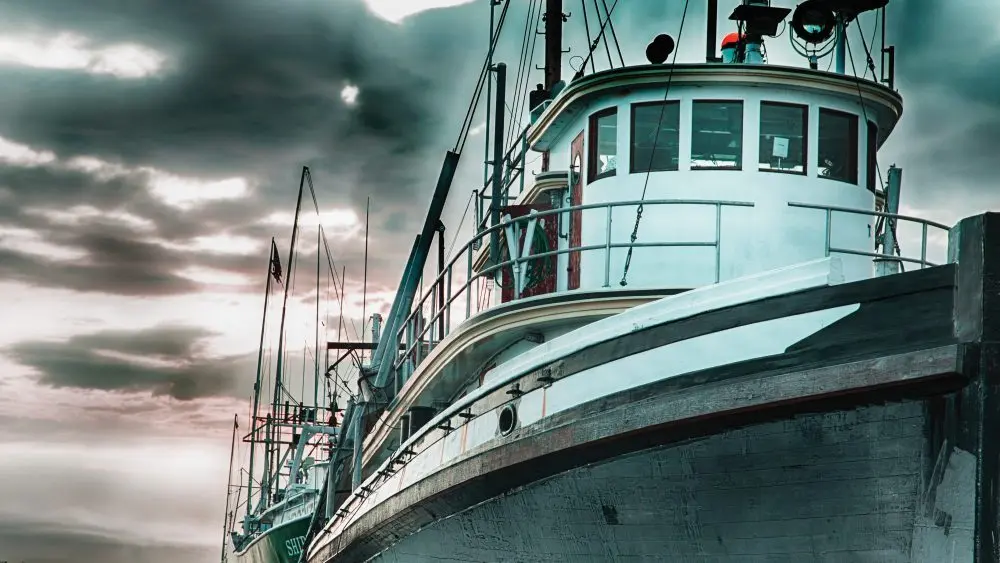 shutterstock_salmon_lead-1000x563503186-1